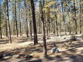 Lake Spokane Campground—Riverside State Park