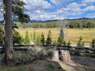 Lupine Shelter