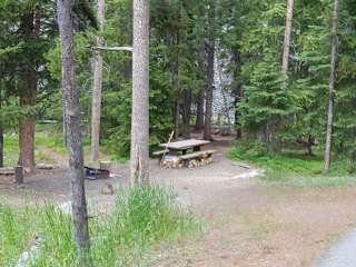 Beaverhead National Forest Lodgepole Campground and Picnic Area