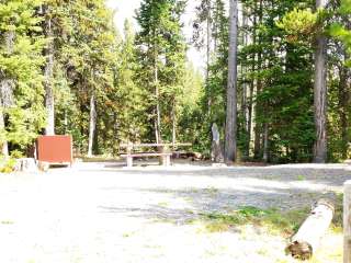 Colter Campground