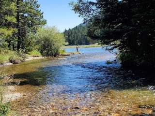 Custer National Forest Emerald Lake Campground