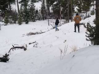 Custer National Forest Basin Campground