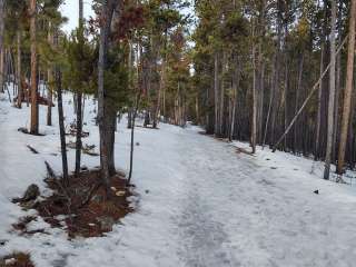 Silver Run Dispersed Camping Area