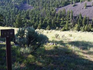 1Y7 Yellowstone N.P. Backcountry campsite — Yellowstone National Park