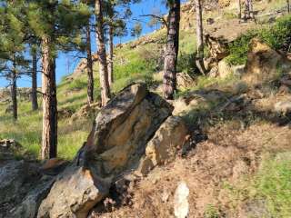 Wickham Gulch Campground