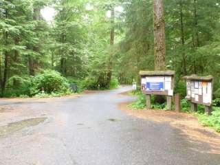 Signal Creek Campground