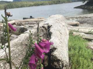 Black Sands Marine State Park - Blank Island Campsite