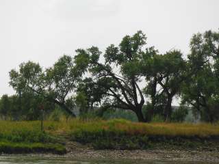 Black Bluff Rapids Primitive Boat Camp