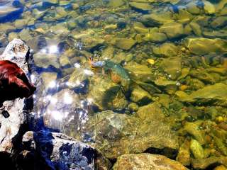 BLM Paulo Reservoir