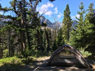 Cut Bank Campground — Glacier National Park