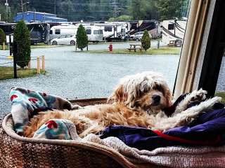 Haines Hitch-Up RV Park