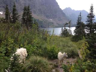 Lake Ellen Wilson Wilderness Campsite — Glacier National Park