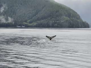 Silver Bay Mooring Buoy