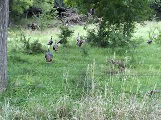 Liberty Cove Rec Area