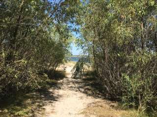 Nunda Shoal Campground