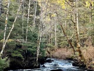 Lunch Creek Trailhead