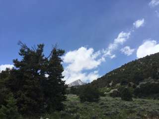 Lower Lehman Creek Campground — Great Basin National Park