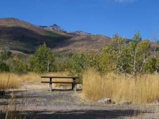 Angel Creek Campground