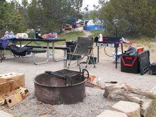 Lake View Campground — Cave Lake State Park