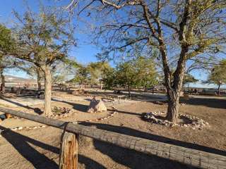 Amargosa Valley Rest Area