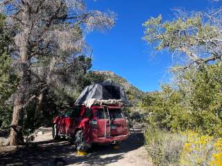 Squirrel Springs Campsites — Great Basin National Park