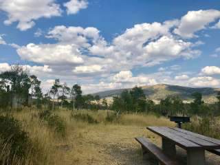 Humboldt National Forest Angel Creek Campground