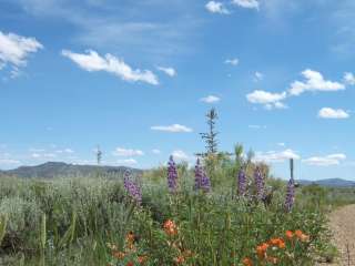 North Wild Horse Recreation Area