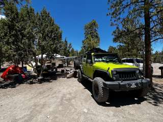  Dispersed Camping - Mormon Well Road/Desert Pass 