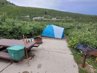 Humboldt National Forest Angel Lake Campground