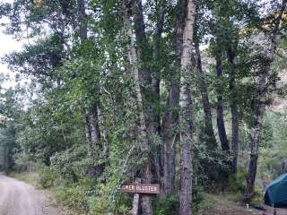 Lower Bluster Campground