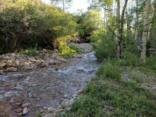 Humboldt National Forest Timber Creek Campground