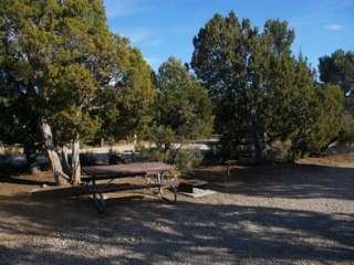 Ward Mtn. Campground (murray Summit)