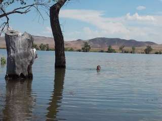 River Camp — Lahontan State Recreation Area