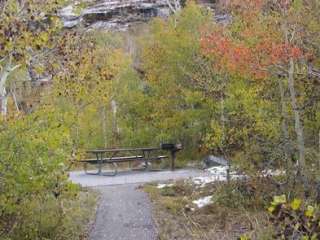 Humboldt-Toiyabe National Forest Terraces Picnic and Group Camping Site