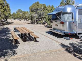 Humboldt National Forest Ward Mountain Campground