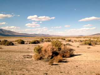 Fernley Wildlife Management Area 