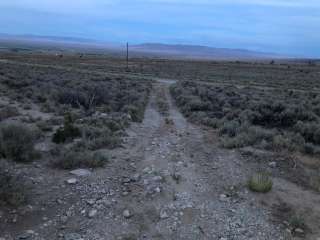 BLM at Great Basin