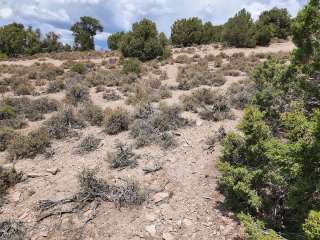 Garnet Hill Roadside Camp