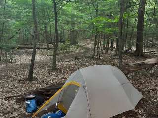 Velvet Rocks Shelter Backcountry Campground on the AT — Appalachian National Scenic Trail