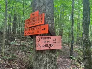 Trapper John Backcountry Campground on the AT — Appalachian National Scenic Trail
