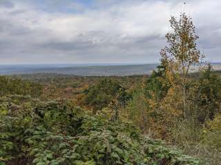 Stokes State Forest