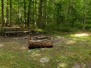 Steam Mill Campground