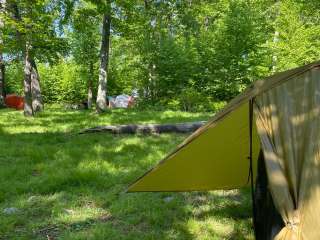 Appalachian Trail- Designated Backpacker Campsite 2