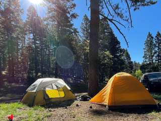 Forest Road 568 - Dispersed Camping