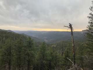 Dispersed on 4 - Fenton Lake State Park