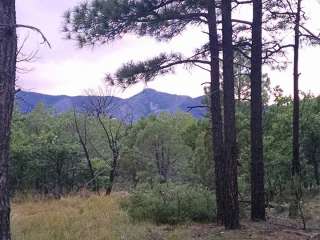 Manzano Mountains State Park