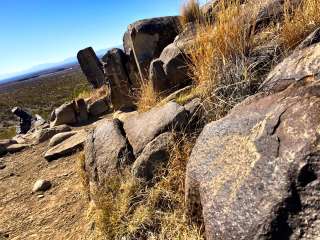 Three Rivers Petroglyph Site