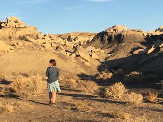 Bisti / De-Na-Zin Wilderness Area