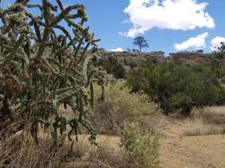 Joe Skeen Campground