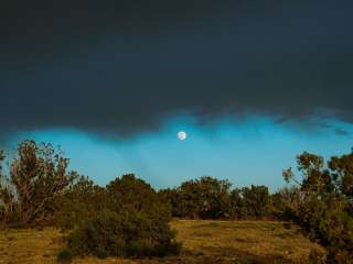 Top of New Mexico - Dispersed Site